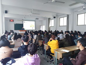 校園心靈護航 心理教育咨詢中心心理健康講座與咨詢服務全解析