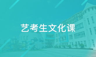 天津桃源教育咨詢與淘學培訓 教育服務質量深度解析